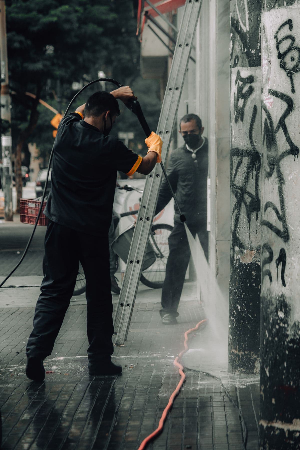 Traces vertes sur une façade : algues, causes et traitement