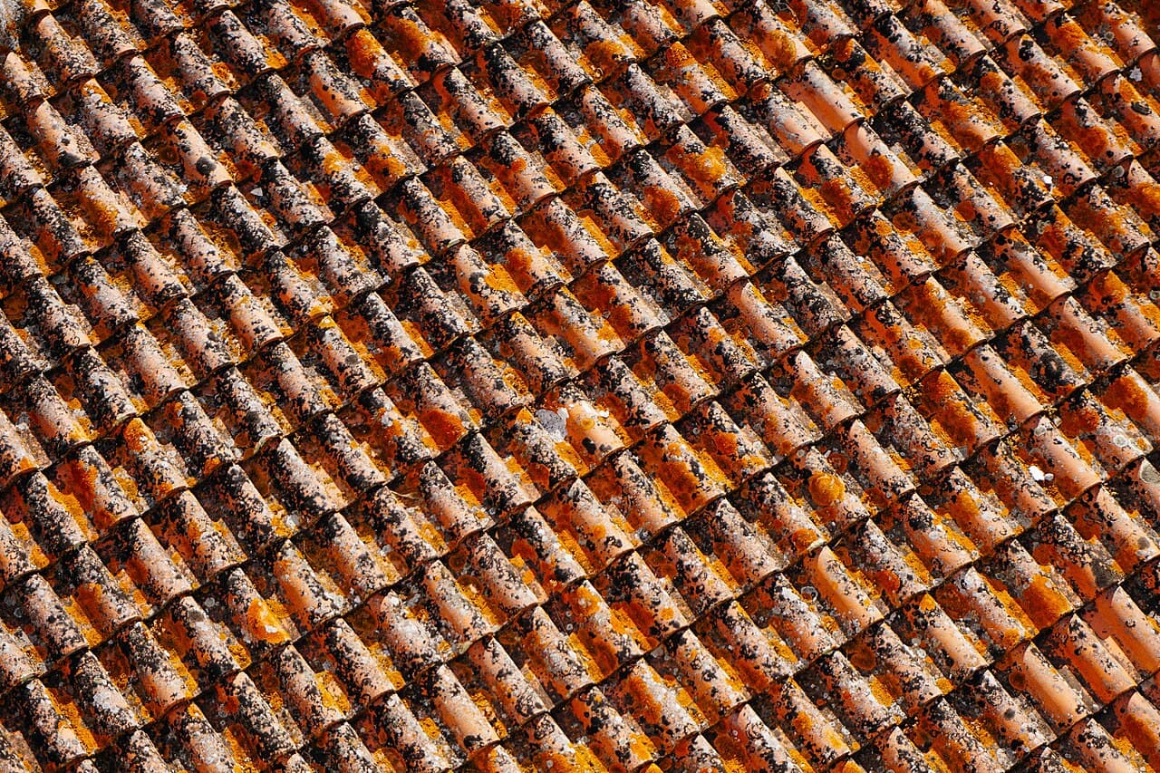 Tuiles de toiture en terre cuite recouvertes de lichen