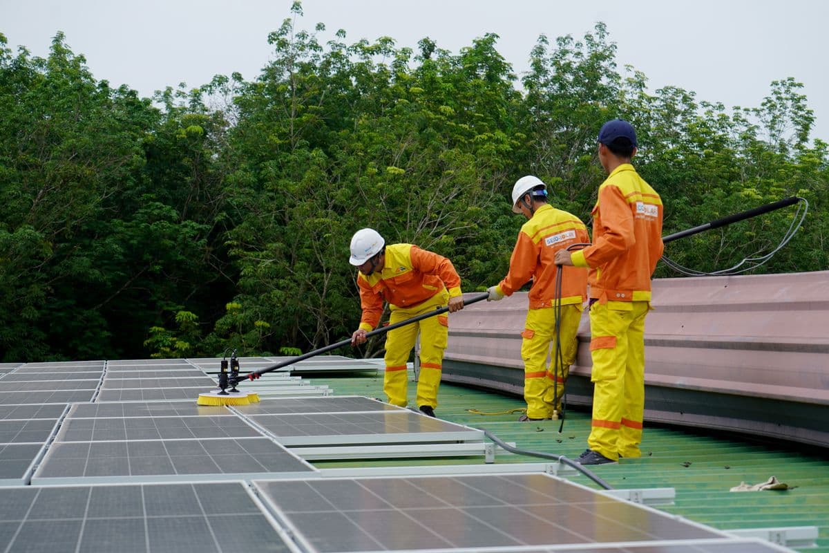 Entretien des abords d'une installation solaire au sol
